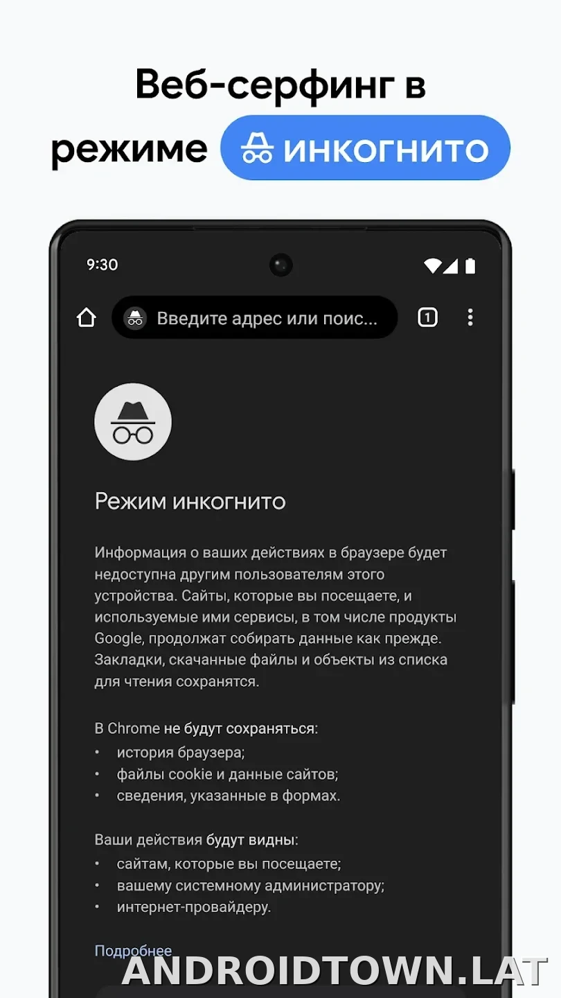 Google Chrome скриншот 3